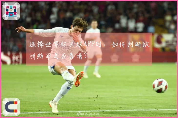 选择世界杯买球APP时，如何判断欧洲赔率是否靠谱？