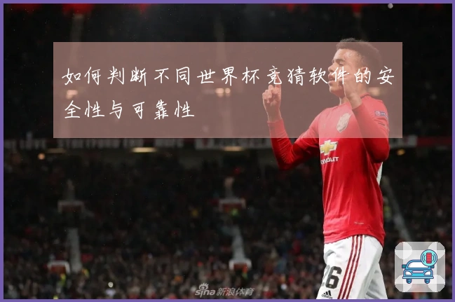 如何判断不同世界杯竞猜软件的安全性与可靠性