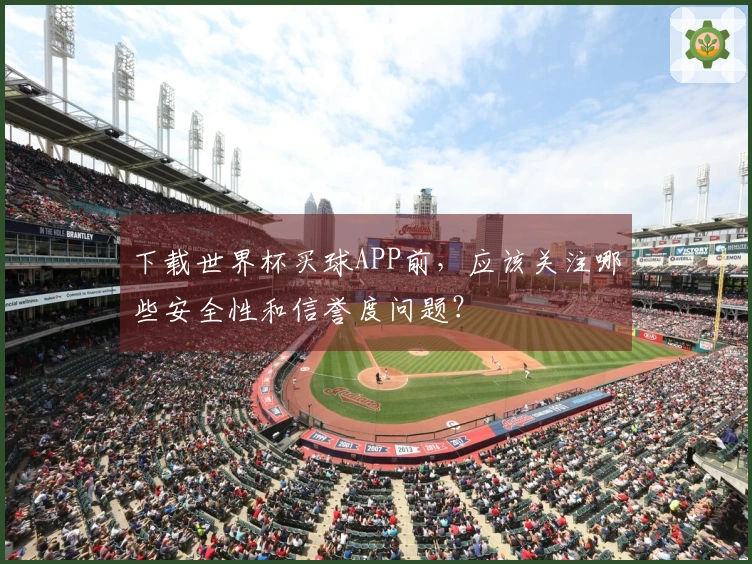 下载世界杯买球APP前，应该关注哪些安全性和信誉度问题？