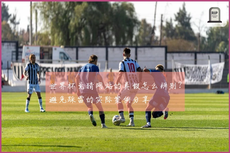 世界杯竞猜网站的真假怎么辨别？避免踩雷的实际案例分享