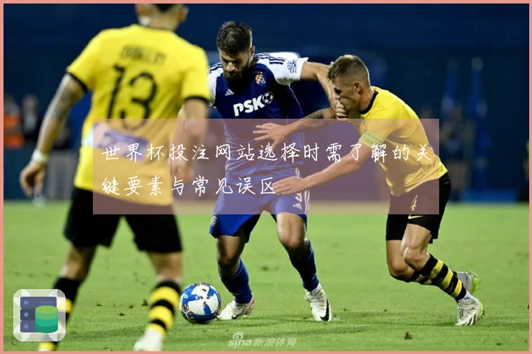 世界杯投注网站选择时需了解的关键要素与常见误区