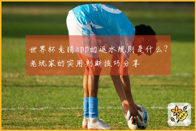 世界杯竞猜app的返水规则是什么？老玩家的实用判断技巧分享