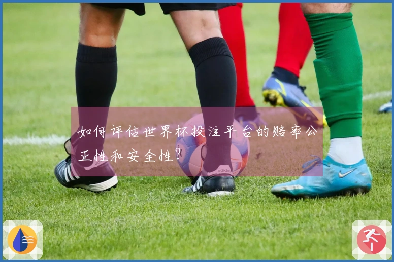 如何评估世界杯投注平台的赔率公正性和安全性？