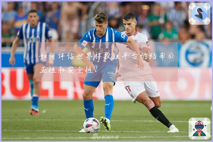 如何评估世界杯投注平台的赔率公正性和安全性？