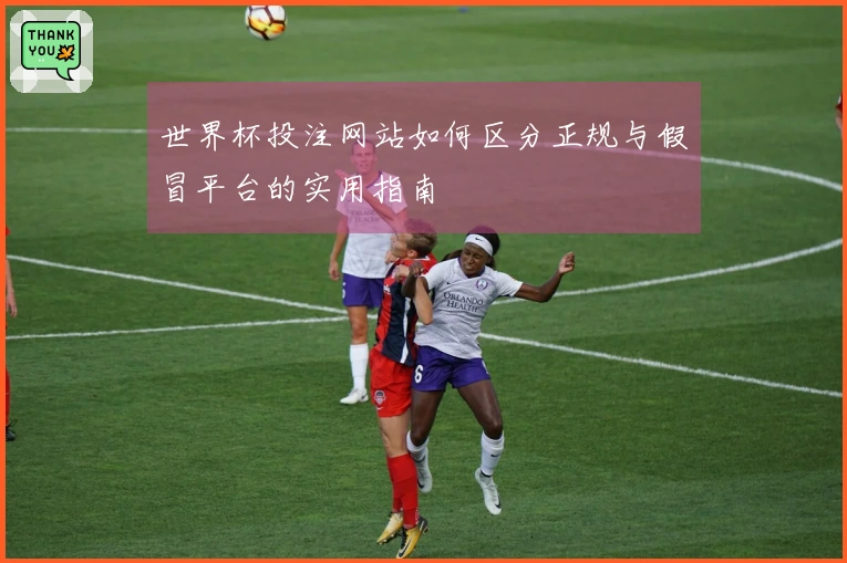 世界杯投注网站如何区分正规与假冒平台的实用指南