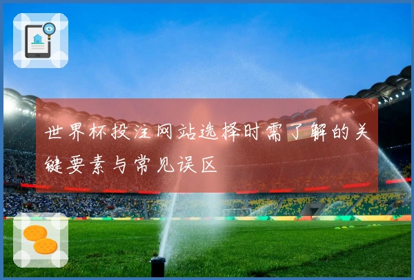 世界杯投注网站选择时需了解的关键要素与常见误区