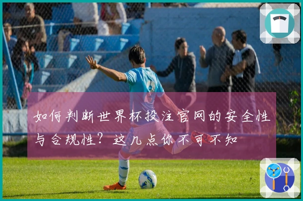 如何判断世界杯投注官网的安全性与合规性？这几点你不可不知