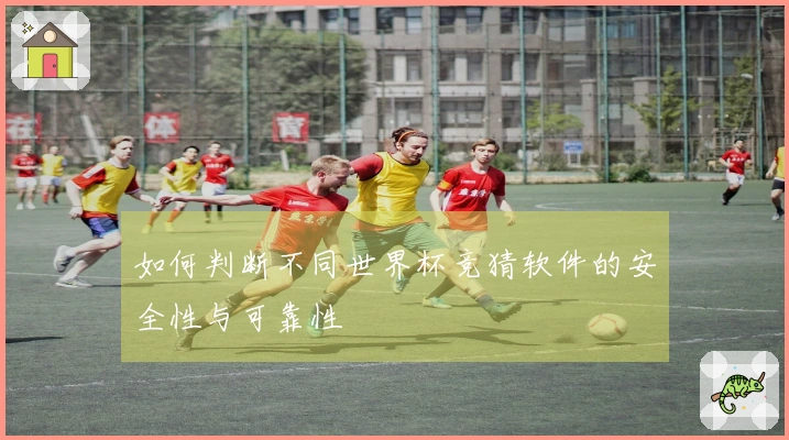 如何判断不同世界杯竞猜软件的安全性与可靠性