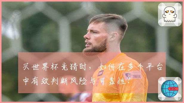 买世界杯竞猜时，如何在多个平台中有效判断风险与可靠性？